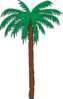 Palm Tree Clip Art